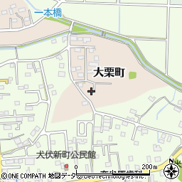 栃木県佐野市大栗町9周辺の地図