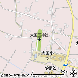 大国玉神社周辺の地図