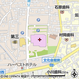伊勢崎市公共施設管理公社周辺の地図