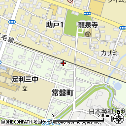 栃木県足利市常盤町22周辺の地図
