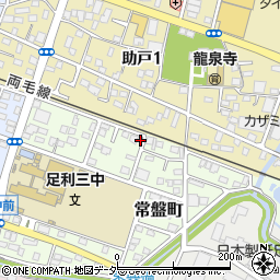 栃木県足利市常盤町45-3周辺の地図