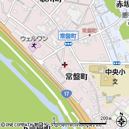 群馬県高崎市常盤町123周辺の地図