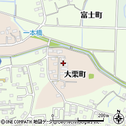 栃木県佐野市大栗町45周辺の地図