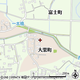 栃木県佐野市大栗町30周辺の地図