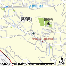 群馬県高崎市鼻高町675周辺の地図