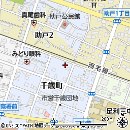 栃木県足利市千歳町16周辺の地図