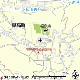 群馬県高崎市鼻高町701周辺の地図