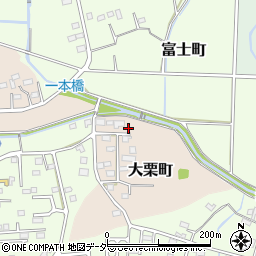 栃木県佐野市大栗町47周辺の地図