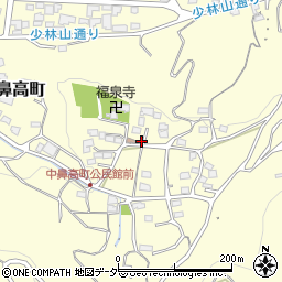 群馬県高崎市鼻高町652周辺の地図