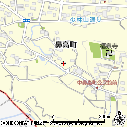 群馬県高崎市鼻高町680周辺の地図