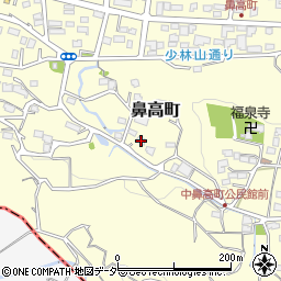 群馬県高崎市鼻高町681-1周辺の地図