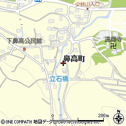 群馬県高崎市鼻高町377周辺の地図