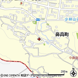 群馬県高崎市鼻高町803周辺の地図