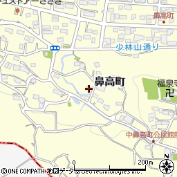 群馬県高崎市鼻高町795周辺の地図