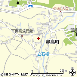 群馬県高崎市鼻高町387周辺の地図