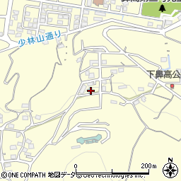 群馬県高崎市鼻高町456周辺の地図