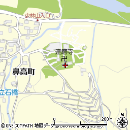 群馬県高崎市鼻高町297周辺の地図