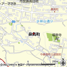 群馬県高崎市鼻高町686周辺の地図