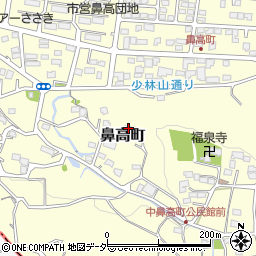 群馬県高崎市鼻高町687周辺の地図