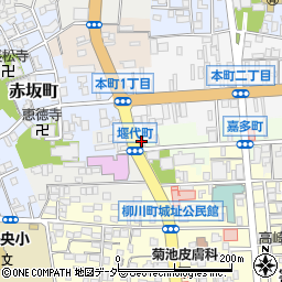 武井商店周辺の地図