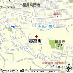 群馬県高崎市鼻高町713周辺の地図