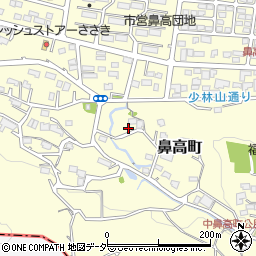 群馬県高崎市鼻高町789周辺の地図