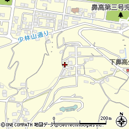 群馬県高崎市鼻高町459周辺の地図