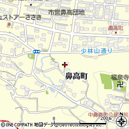 群馬県高崎市鼻高町718-1周辺の地図