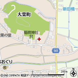 栃木県佐野市大栗町125周辺の地図