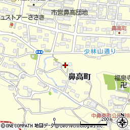 群馬県高崎市鼻高町718周辺の地図