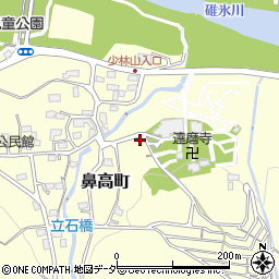 群馬県高崎市鼻高町319周辺の地図