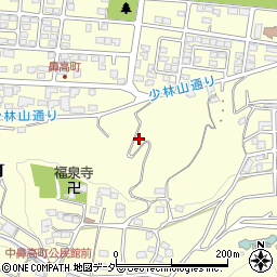 群馬県高崎市鼻高町623周辺の地図