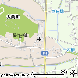 栃木県佐野市大栗町119周辺の地図