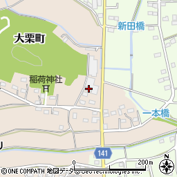 栃木県佐野市大栗町119周辺の地図