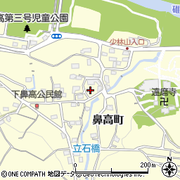 群馬県高崎市鼻高町483-1周辺の地図