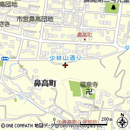 群馬県高崎市鼻高町730-3周辺の地図