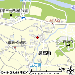 群馬県高崎市鼻高町484周辺の地図