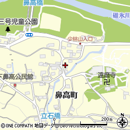 群馬県高崎市鼻高町313周辺の地図