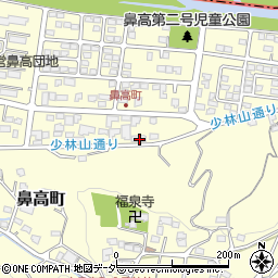 群馬県高崎市鼻高町43-5周辺の地図