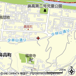 群馬県高崎市鼻高町43-32周辺の地図