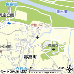 群馬県高崎市鼻高町315周辺の地図