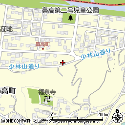 群馬県高崎市鼻高町43-3周辺の地図