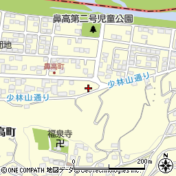 群馬県高崎市鼻高町43-34周辺の地図