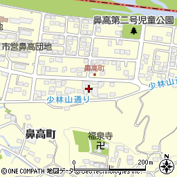 群馬県高崎市鼻高町43周辺の地図