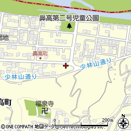 群馬県高崎市鼻高町43-2周辺の地図