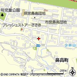 群馬県高崎市鼻高町45周辺の地図