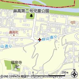 群馬県高崎市鼻高町180周辺の地図