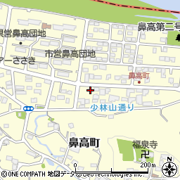 群馬県高崎市鼻高町43-15周辺の地図