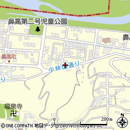 群馬県高崎市鼻高町181周辺の地図