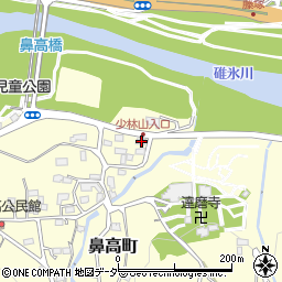 群馬県高崎市鼻高町309-2周辺の地図